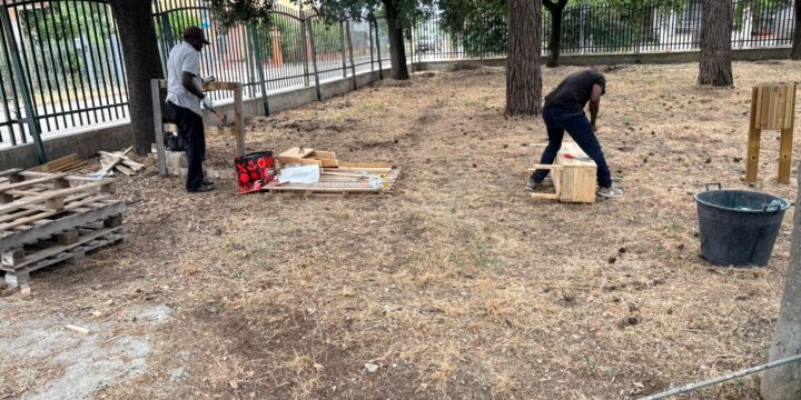 Borgo Mezzanone, la comunità rigenera e restituisce la Villa Comunale. Il 25 giugno la consegna
