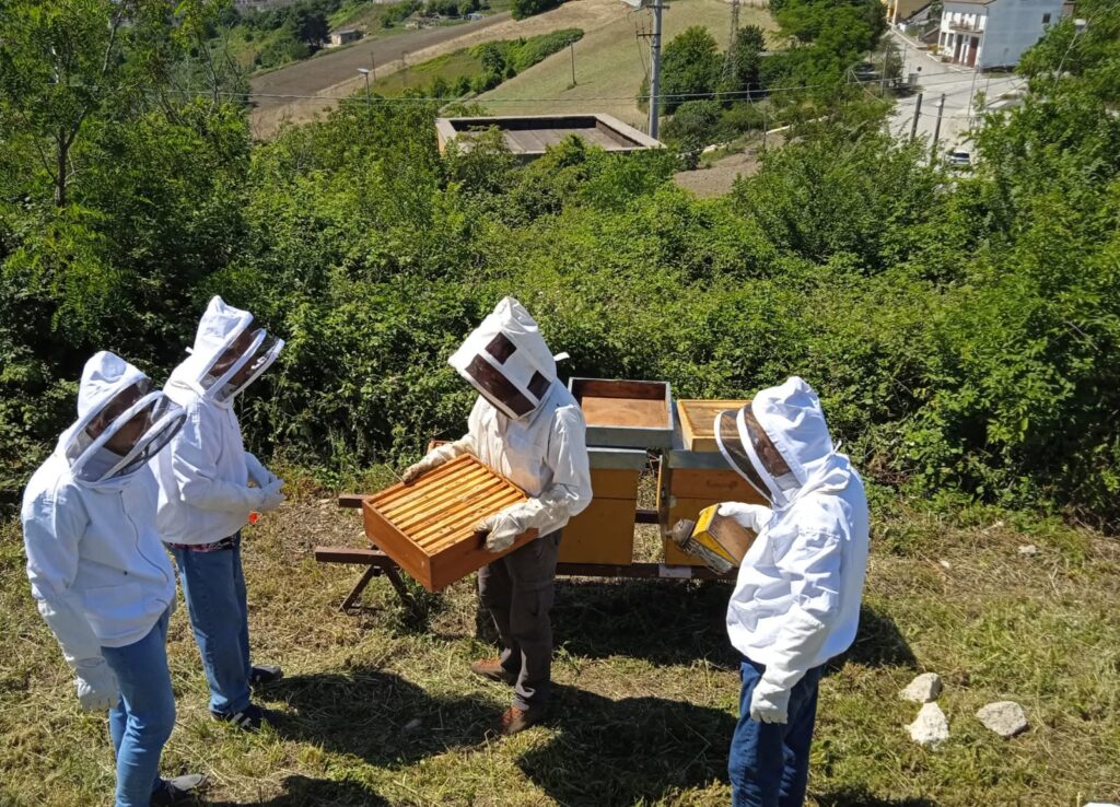 Lavoro e inclusione, il consorzio Oltre celebra la “Giornata della Salute Mentale” con piccole storie di rinascita