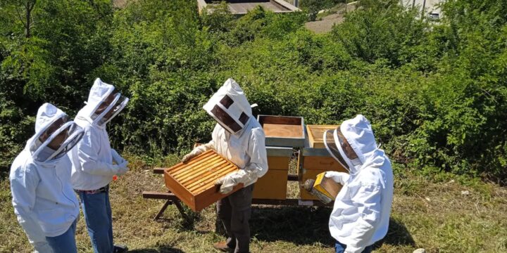 Lavoro e inclusione, il consorzio Oltre celebra la “Giornata della Salute Mentale” con piccole storie di rinascita